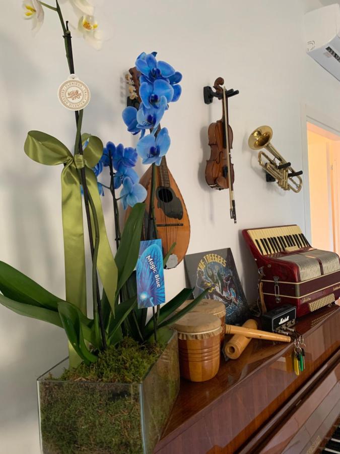 Bed and breakfast Music House Palinuro Extérieur photo